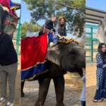 Tourists interacting with a decorated elephant and enjoying a traditional elephant ride experience in India.